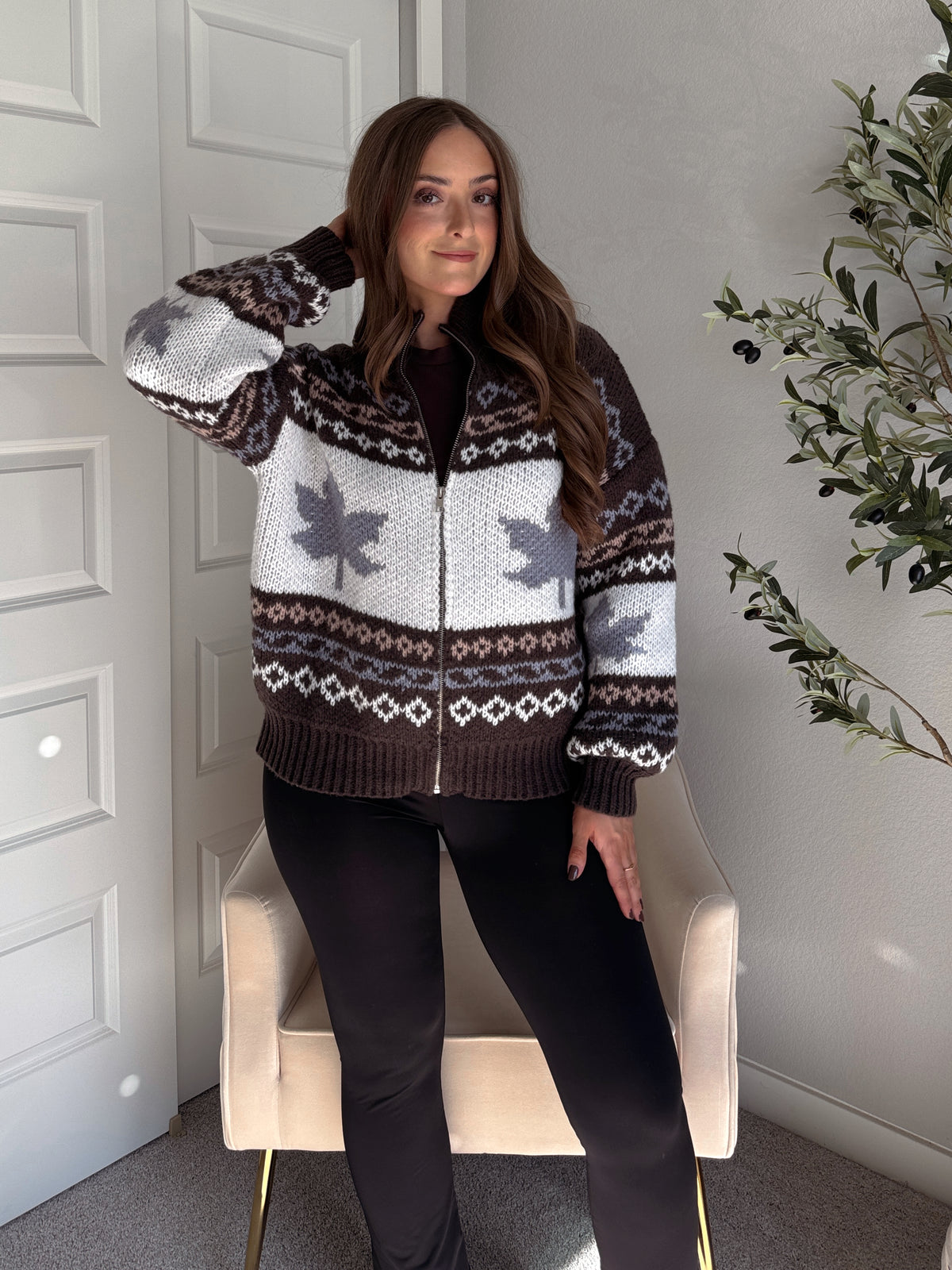 Fireside Collared Fair Isle Zip-Up Sweater Jacket (Brown/Multi)