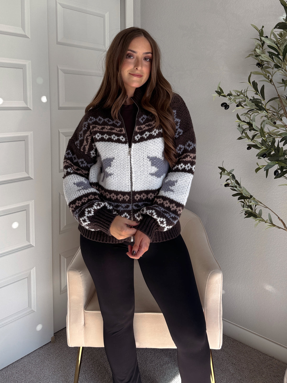 Fireside Collared Fair Isle Zip-Up Sweater Jacket (Brown/Multi)