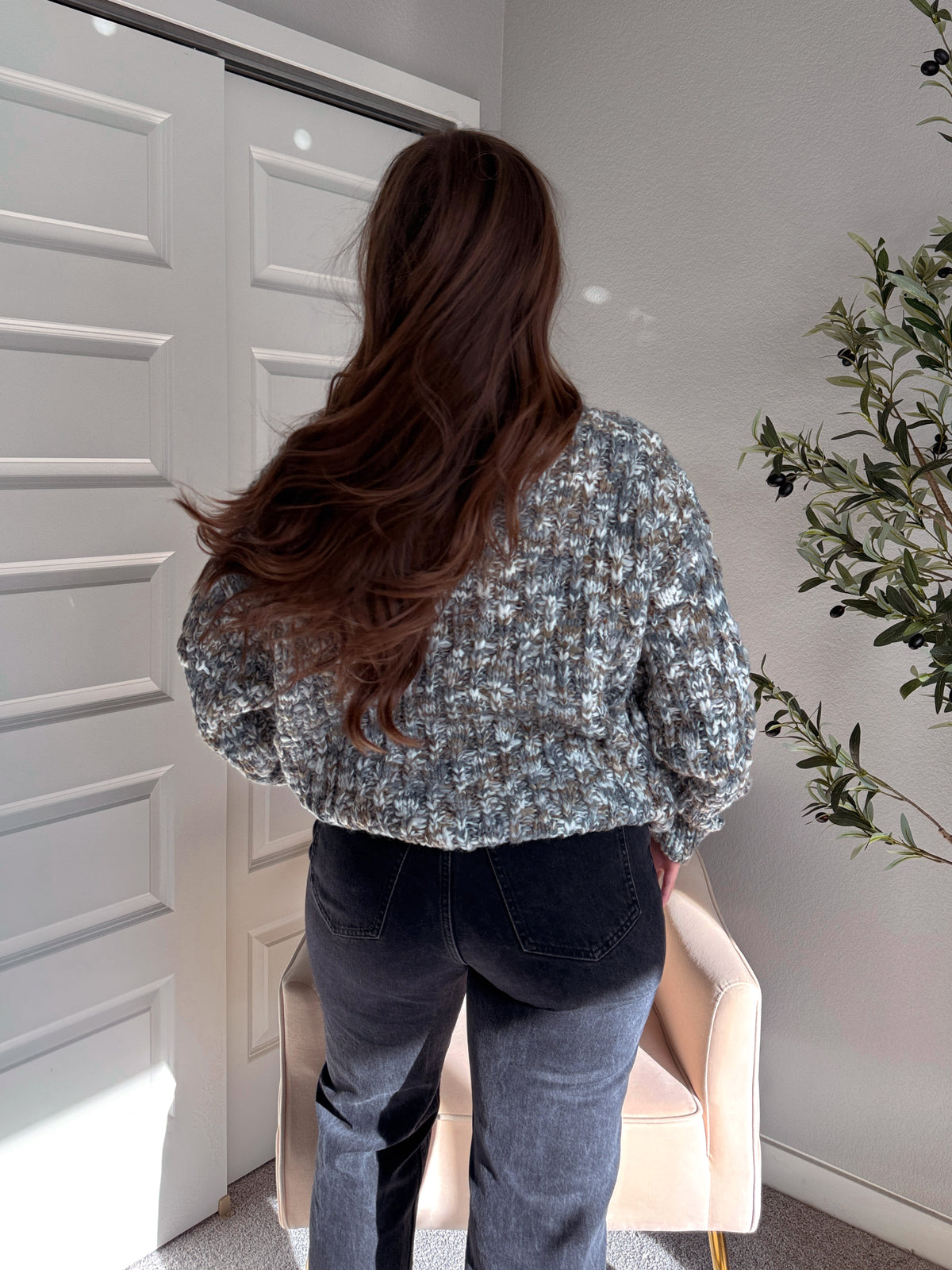 Frosted Pines Crew Neck Chunky Knit Sweater (Blue/Multi)