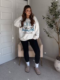 Glacier Embroidered Oversized Crewneck Sweatshirt (Light Heather Gray)