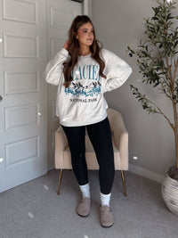 Glacier Embroidered Oversized Crewneck Sweatshirt (Light Heather Gray)