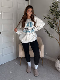 Glacier Embroidered Oversized Crewneck Sweatshirt (Light Heather Gray)