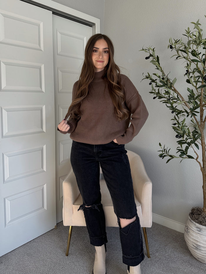 Hudson Mock Neck Ribbed Knit Sweater (Mocha)