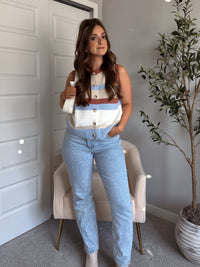 Keaton Multicolored Striped Button Up Sweater Vest (Stone/Sky)
