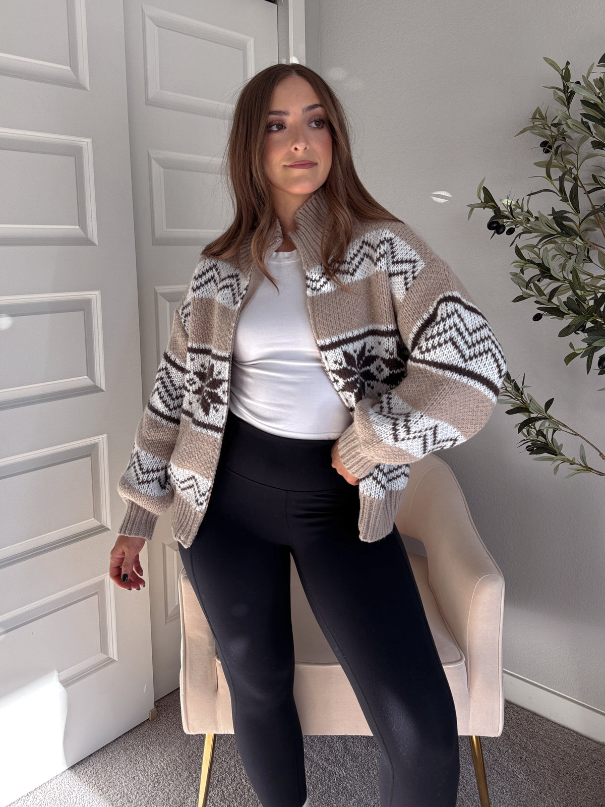 Snowpine Collared Fair Isle Zip-Up Sweater Jacket (Brown/Multi)