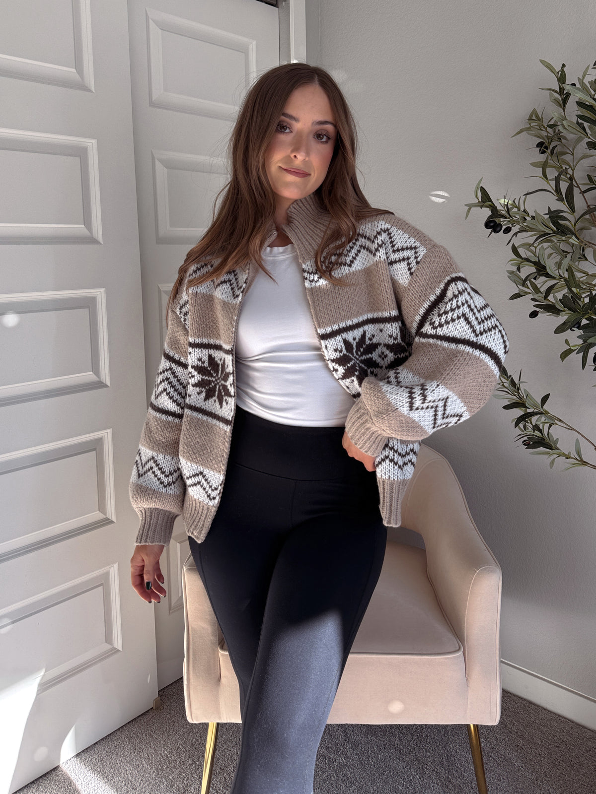 Snowpine Collared Fair Isle Zip-Up Sweater Jacket (Brown/Multi)