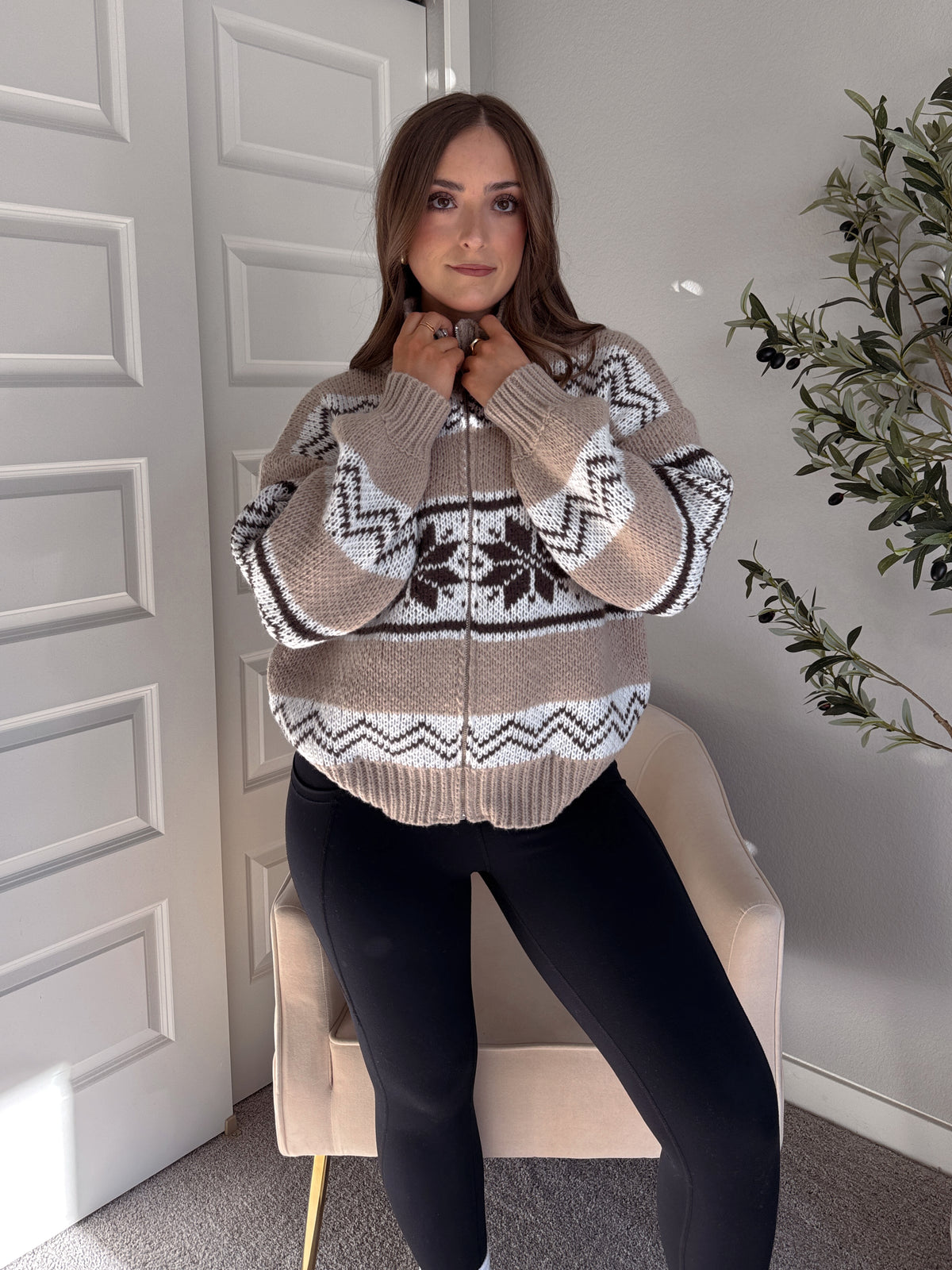 Snowpine Collared Fair Isle Zip-Up Sweater Jacket (Brown/Multi)