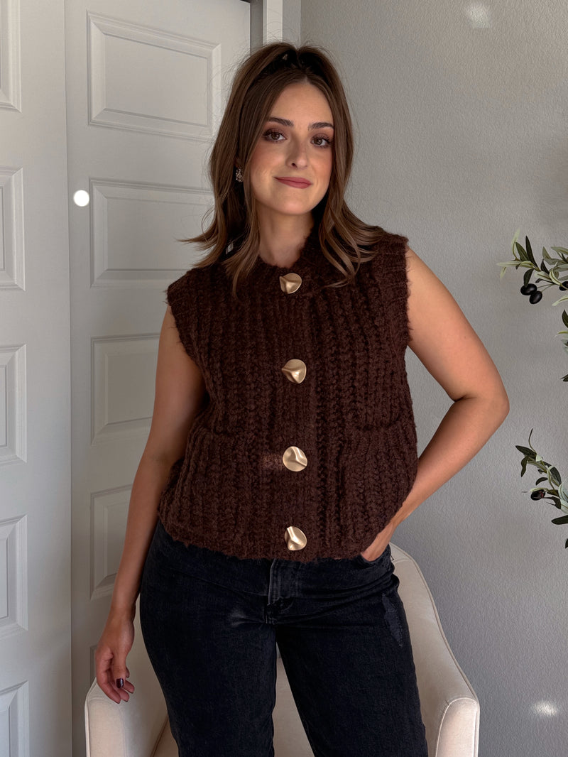 Whitaker Chunky Button Knit Sweater Vest (Brown)