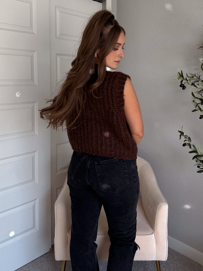 Whitaker Chunky Button Knit Sweater Vest (Brown)