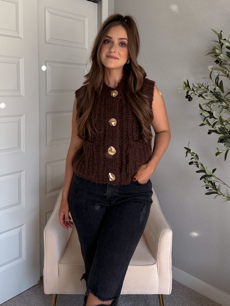 Whitaker Chunky Button Knit Sweater Vest (Brown)